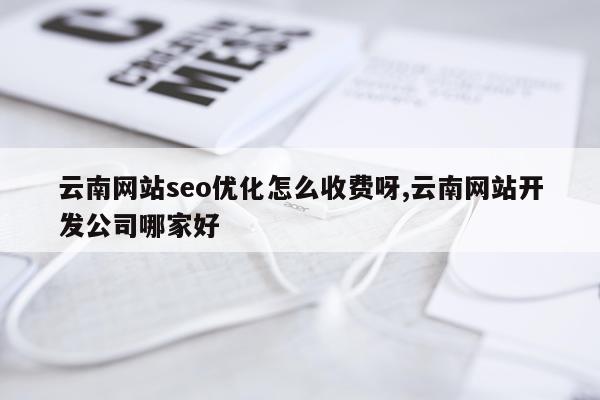 云南网站seo优化怎么收费呀,云南网站开发公司哪家好
