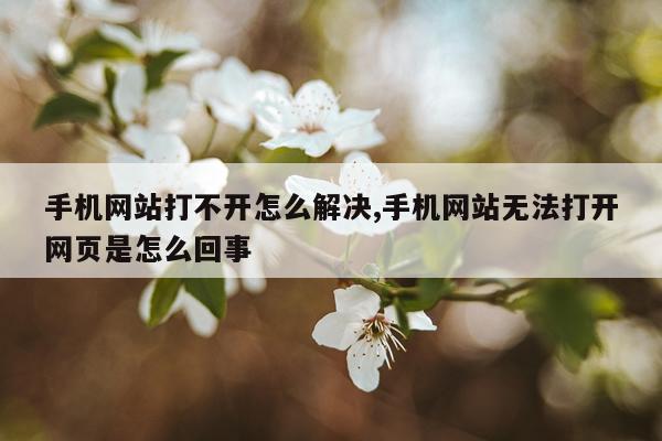 手机网站打不开怎么解决,手机网站无法打开网页是怎么回事