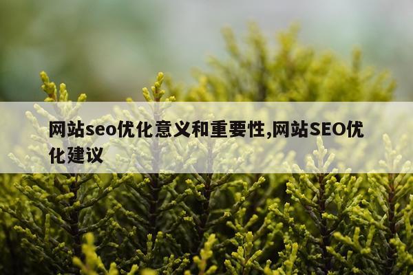 网站seo优化意义和重要性,网站SEO优化建议