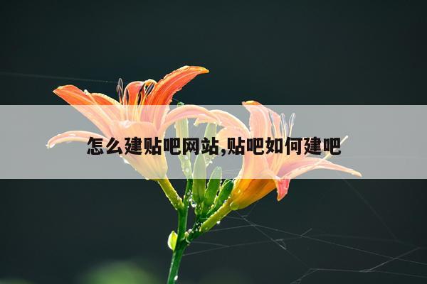 怎么建贴吧网站,贴吧如何建吧