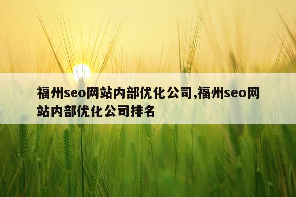 福州seo网站内部优化公司,福州seo网站内部优化公司排名