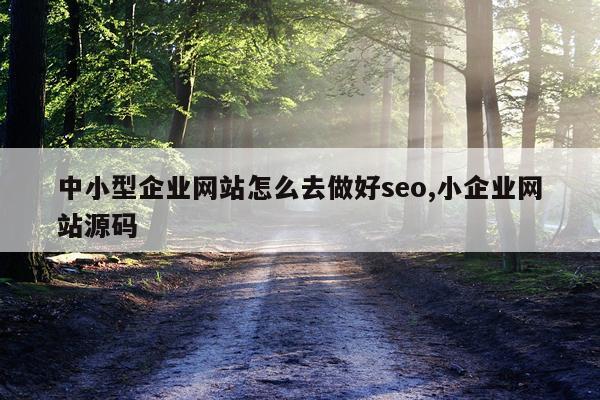 中小型企业网站怎么去做好seo,小企业网站源码