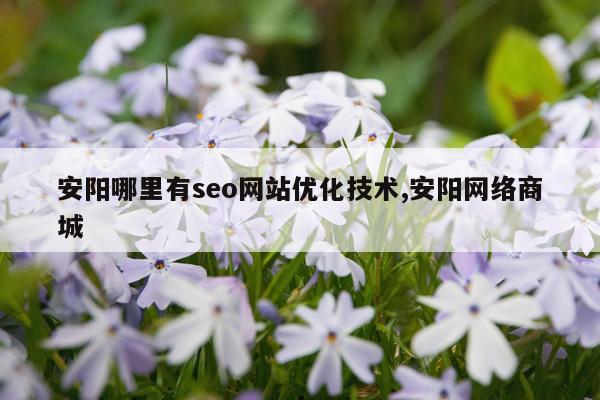 安阳哪里有seo网站优化技术,安阳网络商城