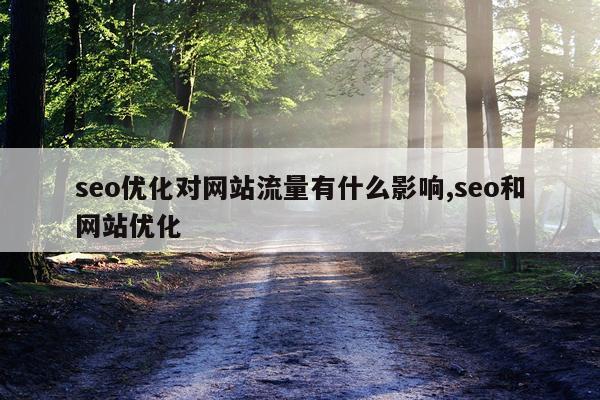 seo优化对网站流量有什么影响,seo和网站优化