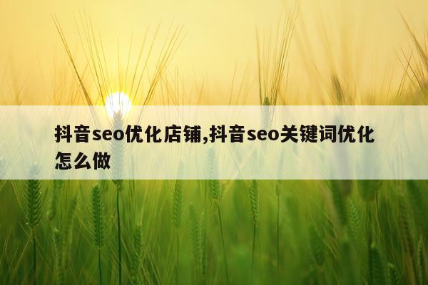 抖音seo优化店铺,抖音seo关键词优化怎么做