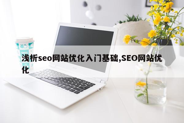 浅析seo网站优化入门基础,SEO网站优化