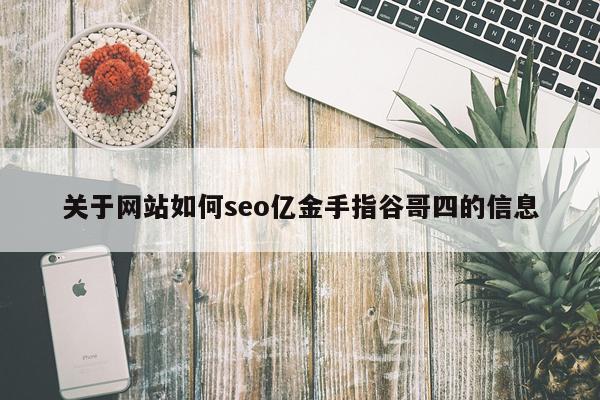 关于网站如何seo亿金手指谷哥四的信息