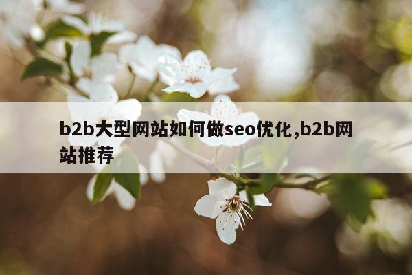 b2b大型网站如何做seo优化,b2b网站推荐