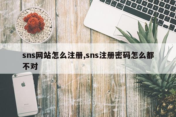 sns网站怎么注册,sns注册密码怎么都不对