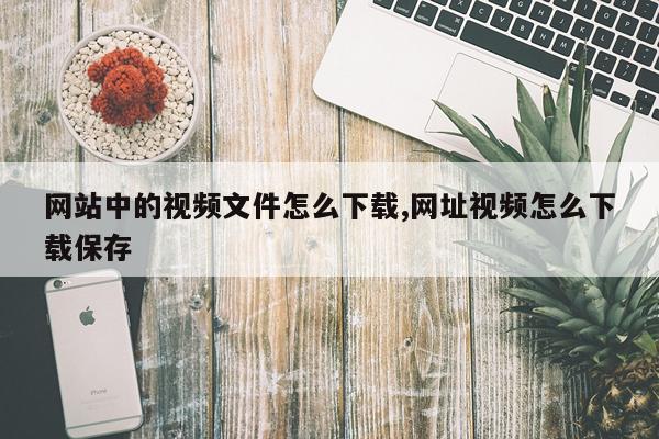 网站中的视频文件怎么下载,网址视频怎么下载保存