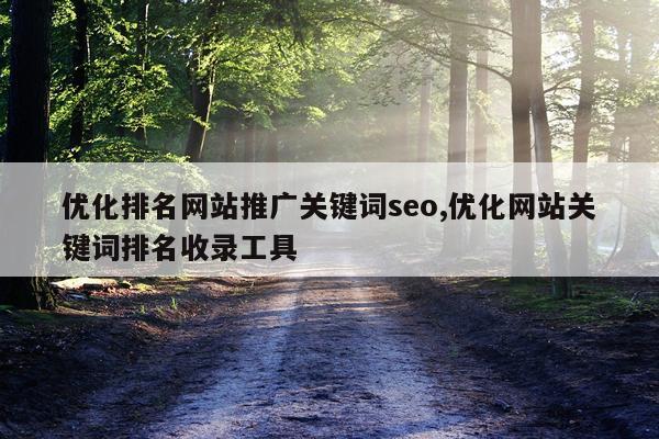 优化排名网站推广关键词seo,优化网站关键词排名收录工具
