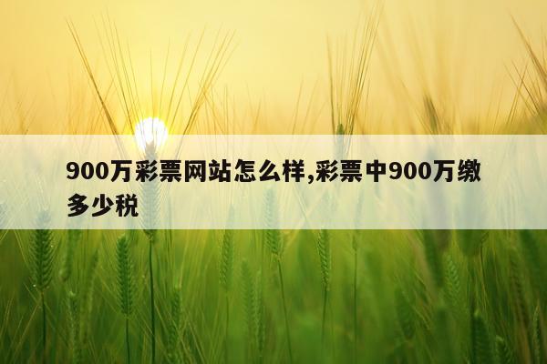 900万彩票网站怎么样,彩票中900万缴多少税