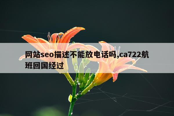 网站seo描述不能放电话吗,ca722航班回国经过