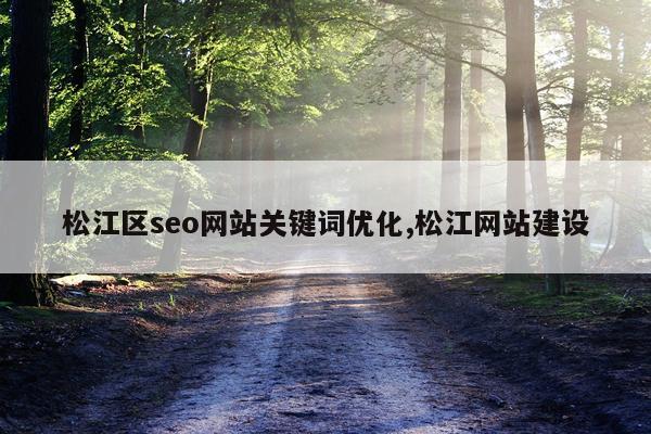 松江区seo网站关键词优化,松江网站建设