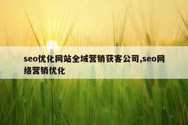 seo优化网站全域营销获客公司,seo网络营销优化