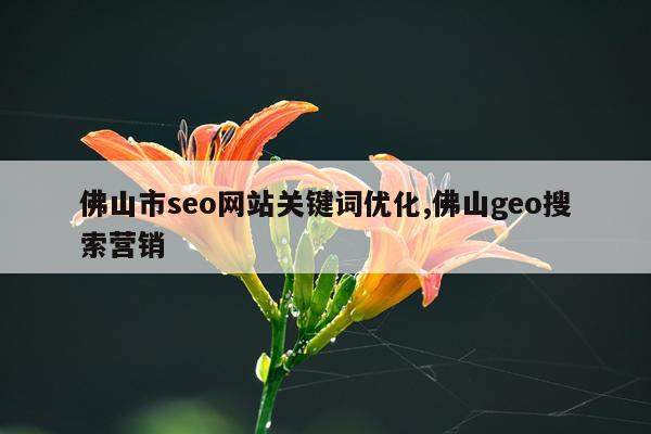 佛山市seo网站关键词优化,佛山geo搜索营销