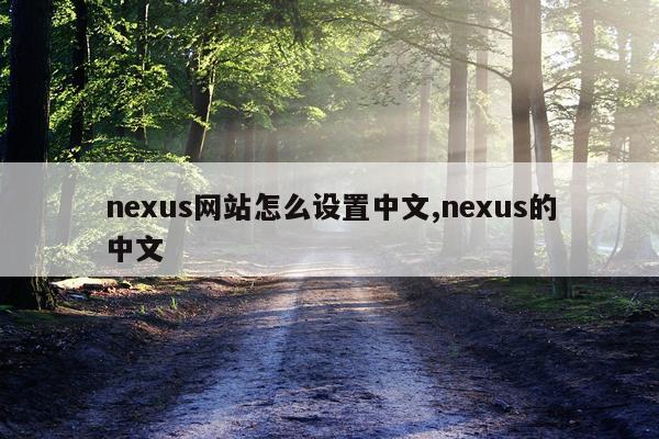 nexus网站怎么设置中文,nexus的中文