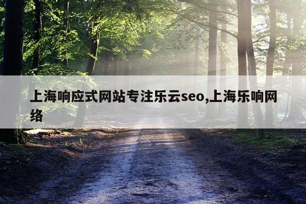 上海响应式网站专注乐云seo,上海乐响网络