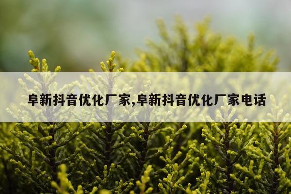 阜新抖音优化厂家,阜新抖音优化厂家电话