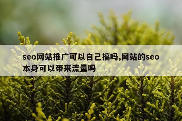 seo网站推广可以自己搞吗,网站的seo本身可以带来流量吗