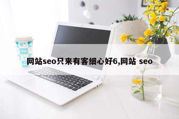 网站seo只来有客细心好6,网站 seo