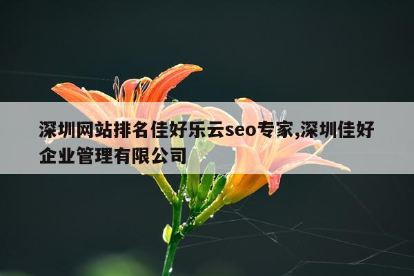 深圳网站排名佳好乐云seo专家,深圳佳好企业管理有限公司