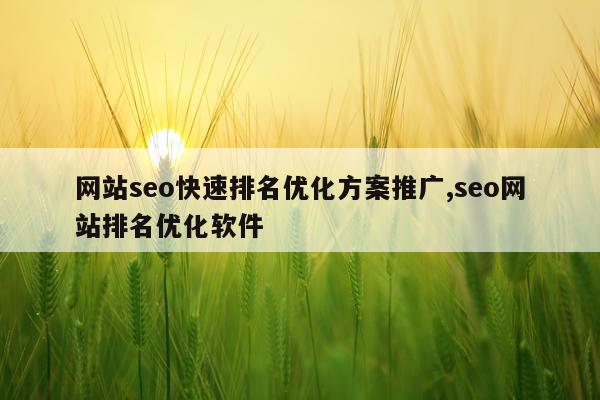 网站seo快速排名优化方案推广,seo网站排名优化软件