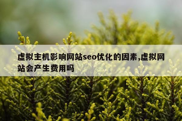 虚拟主机影响网站seo优化的因素,虚拟网站会产生费用吗