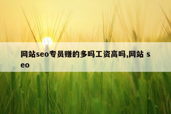 网站seo专员赚的多吗工资高吗,网站 seo