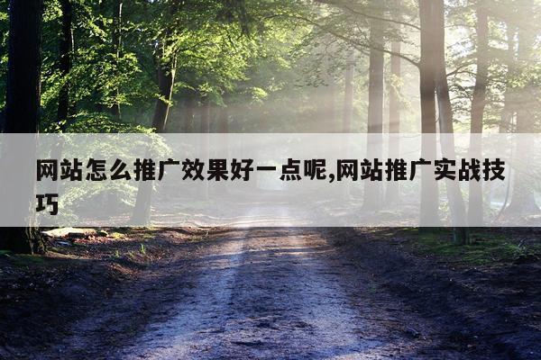 网站怎么推广效果好一点呢,网站推广实战技巧