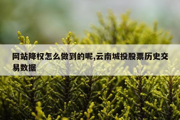 网站降权怎么做到的呢,云南城投股票历史交易数据