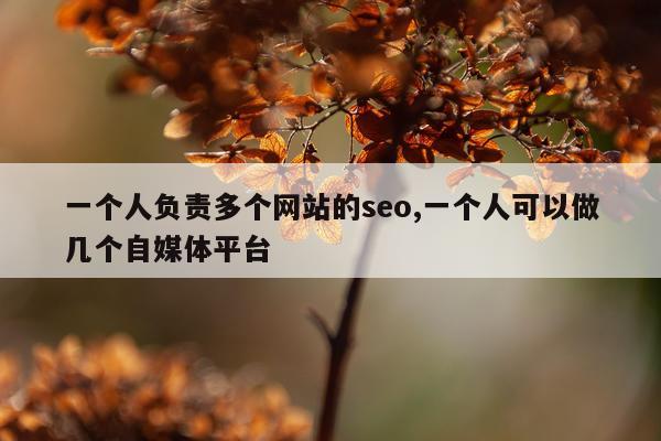 一个人负责多个网站的seo,一个人可以做几个自媒体平台