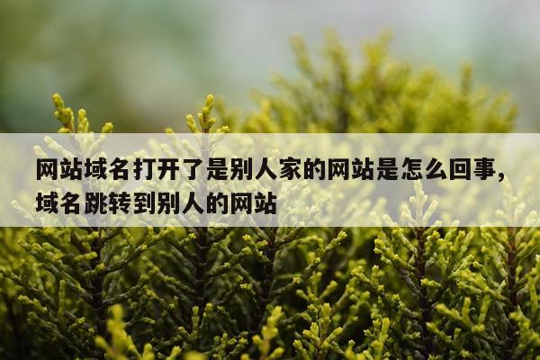 网站域名打开了是别人家的网站是怎么回事,域名跳转到别人的网站