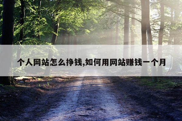 个人网站怎么挣钱,如何用网站赚钱一个月