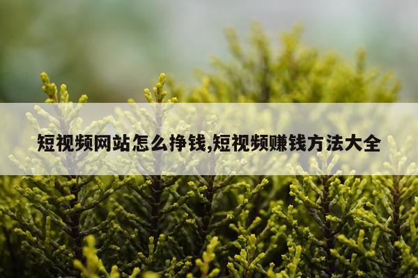 短视频网站怎么挣钱,短视频赚钱方法大全