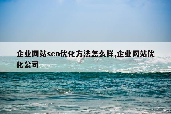 企业网站seo优化方法怎么样,企业网站优化公司