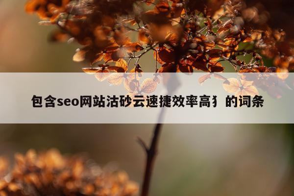 包含seo网站沽砂云速捷效率高犭的词条