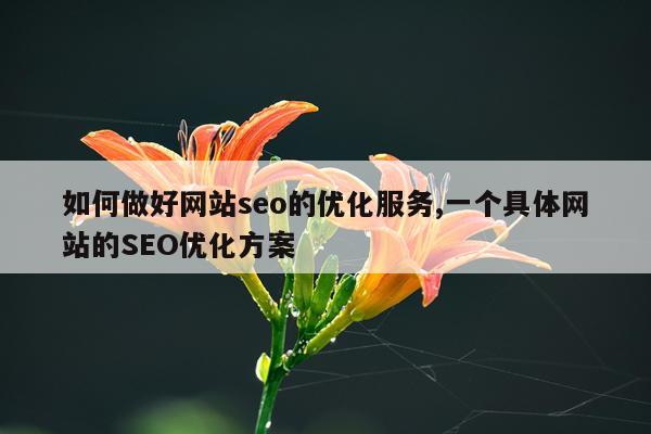 如何做好网站seo的优化服务,一个具体网站的SEO优化方案