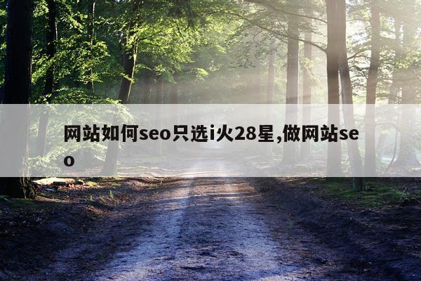 网站如何seo只选i火28星,做网站seo