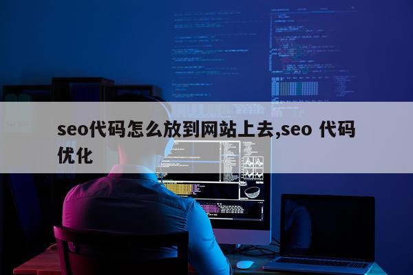 seo代码怎么放到网站上去,seo 代码优化