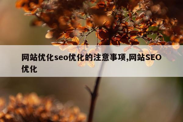 网站优化seo优化的注意事项,网站SEO优化