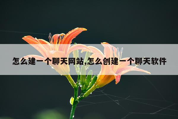 怎么建一个聊天网站,怎么创建一个聊天软件
