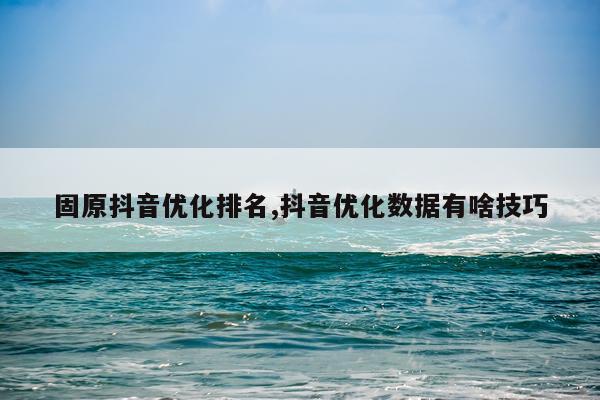 固原抖音优化排名,抖音优化数据有啥技巧