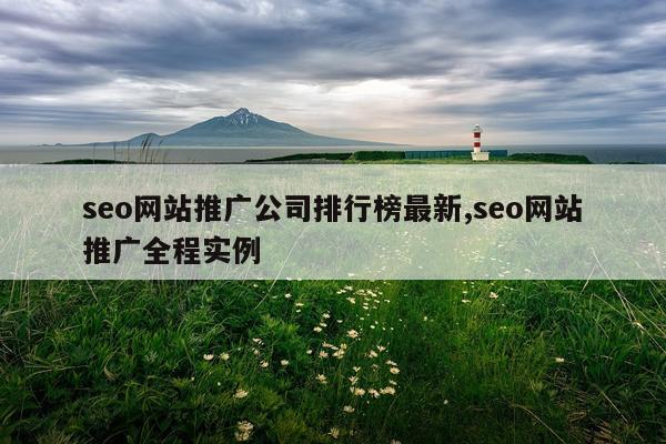 seo网站推广公司排行榜最新,seo网站推广全程实例