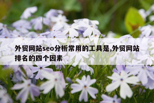 外贸网站seo分析常用的工具是,外贸网站排名的四个因素