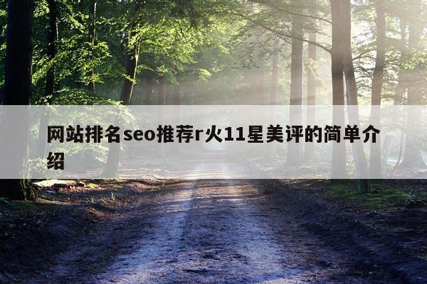 网站排名seo推荐r火11星美评的简单介绍