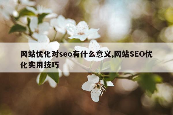 网站优化对seo有什么意义,网站SEO优化实用技巧