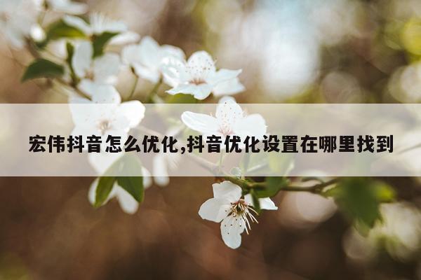 宏伟抖音怎么优化,抖音优化设置在哪里找到