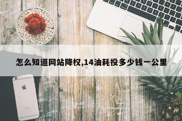 怎么知道网站降权,14油耗投多少钱一公里