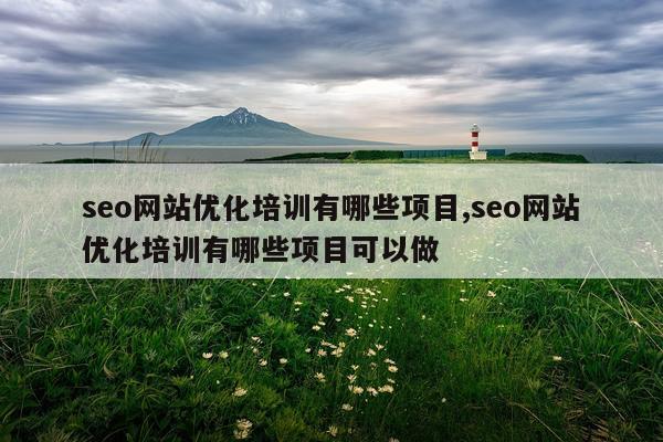 seo网站优化培训有哪些项目,seo网站优化培训有哪些项目可以做